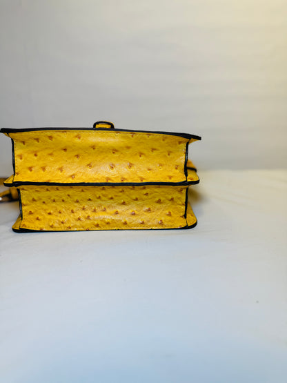 Crossbody/Shoulder Bag