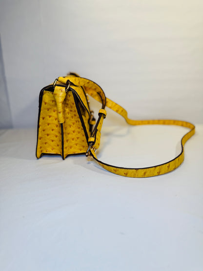 Crossbody/Shoulder Bag