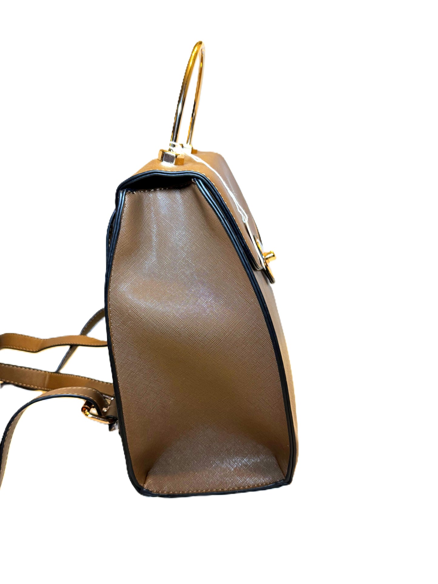 Backpack/Tote Bag
