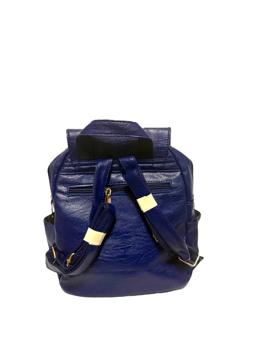 Blue Backpack
