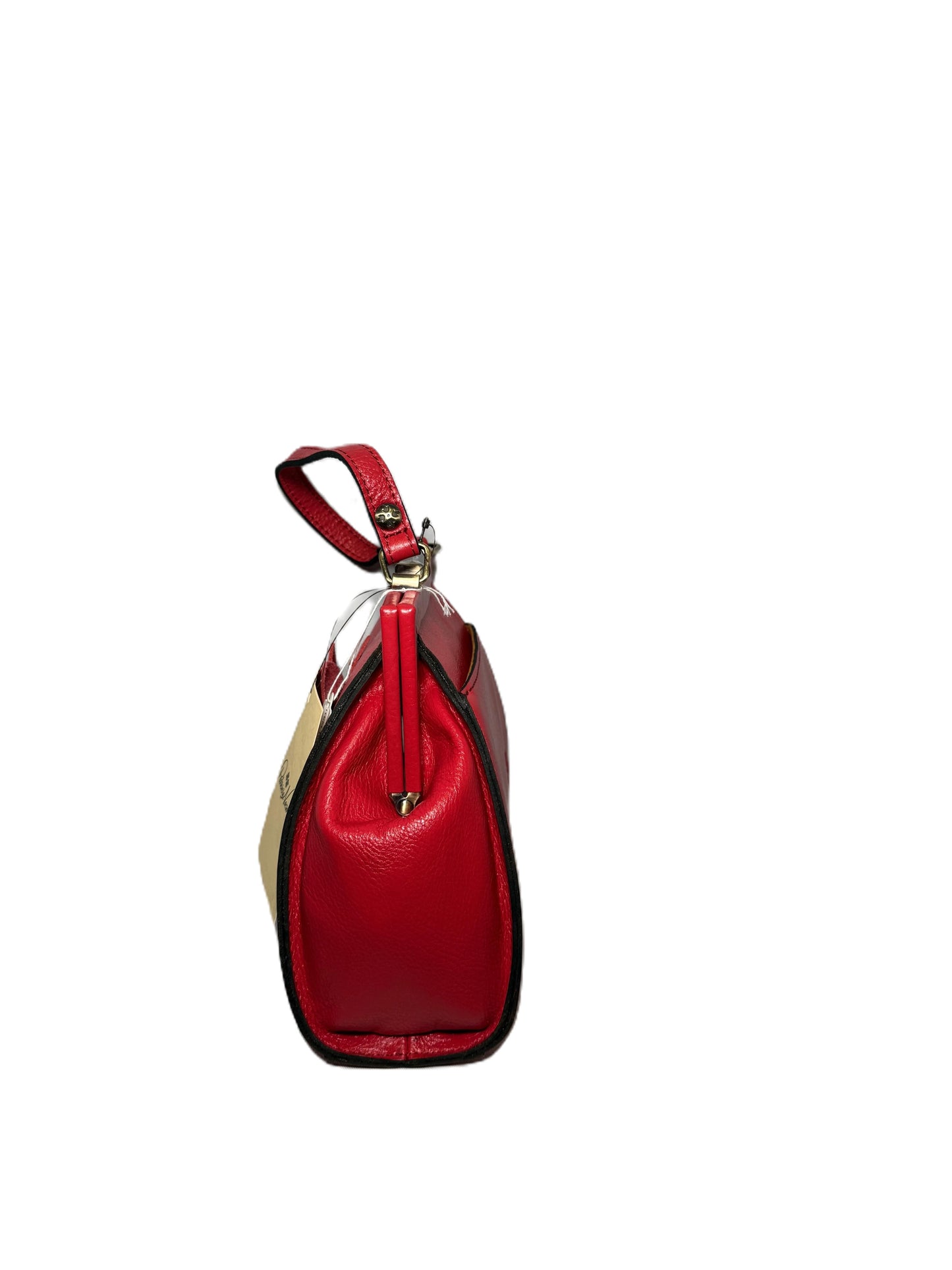 Patricia Nash Small Tiphanie Frame Shoulder Bag